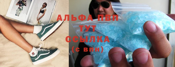 эйфоретик Баксан