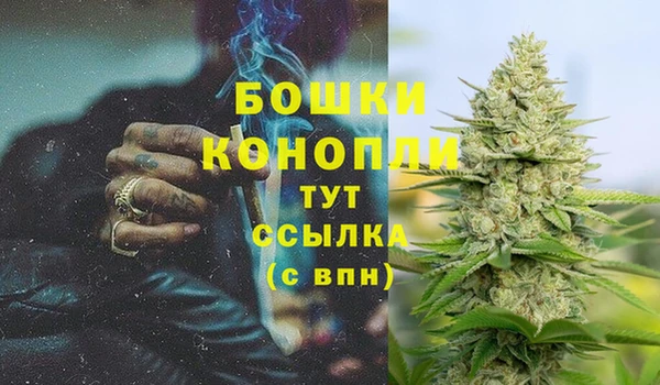 гидропоника Балабаново