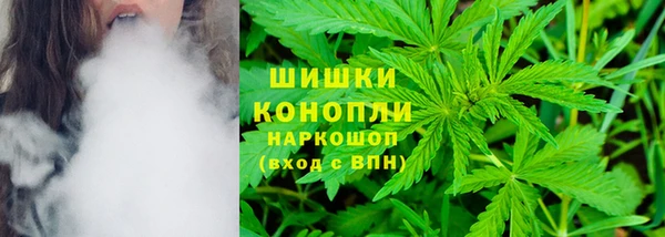 эйфоретик Баксан
